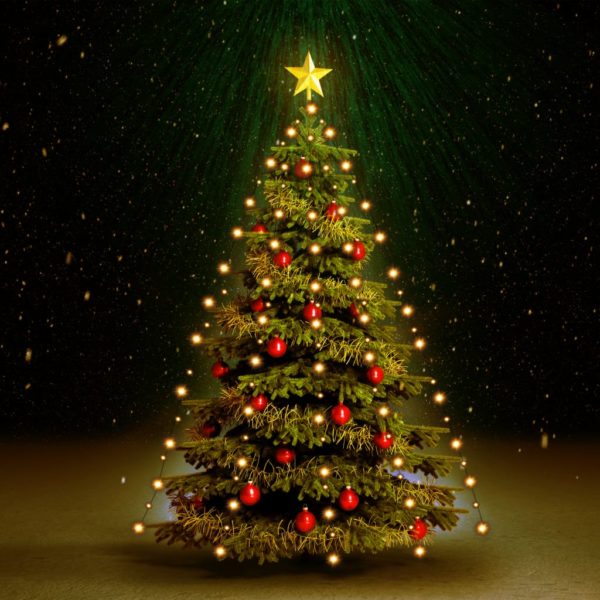Weihnachtsbaum Lichternetz mit 180 LEDs IP44 180 cm