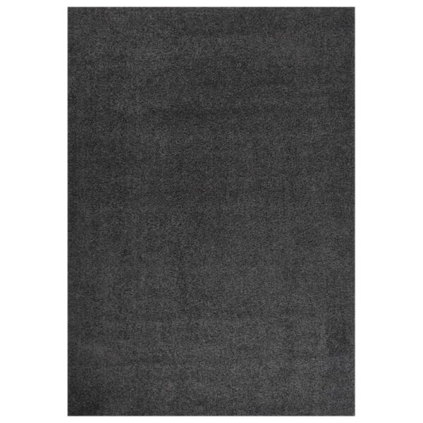 Teppich Shaggy Hochflor Anthrazit 120×170 cm