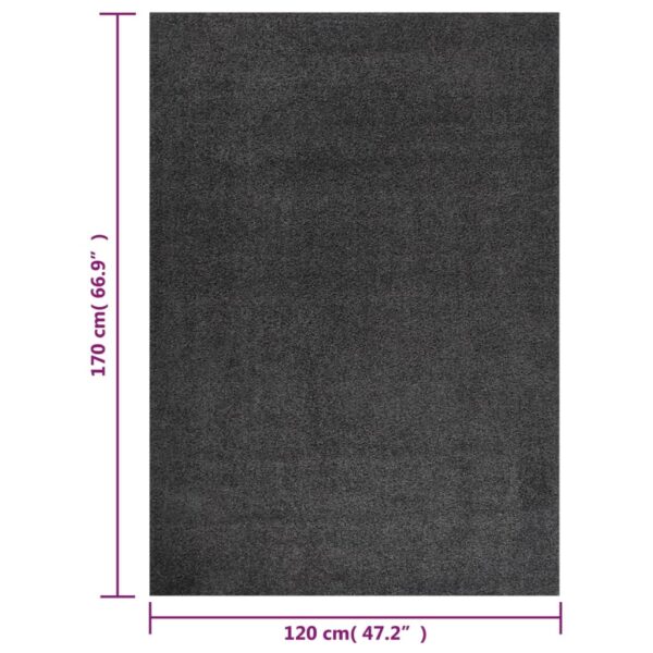 Teppich Shaggy Hochflor Anthrazit 120×170 cm