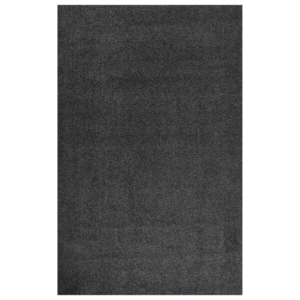Teppich Shaggy Hochflor Anthrazit 200×290 cm