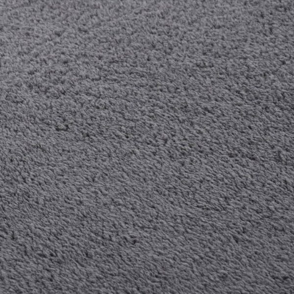 Teppich Shaggy Waschbar Weich 200×290 cm Rutschfest Anthrazit